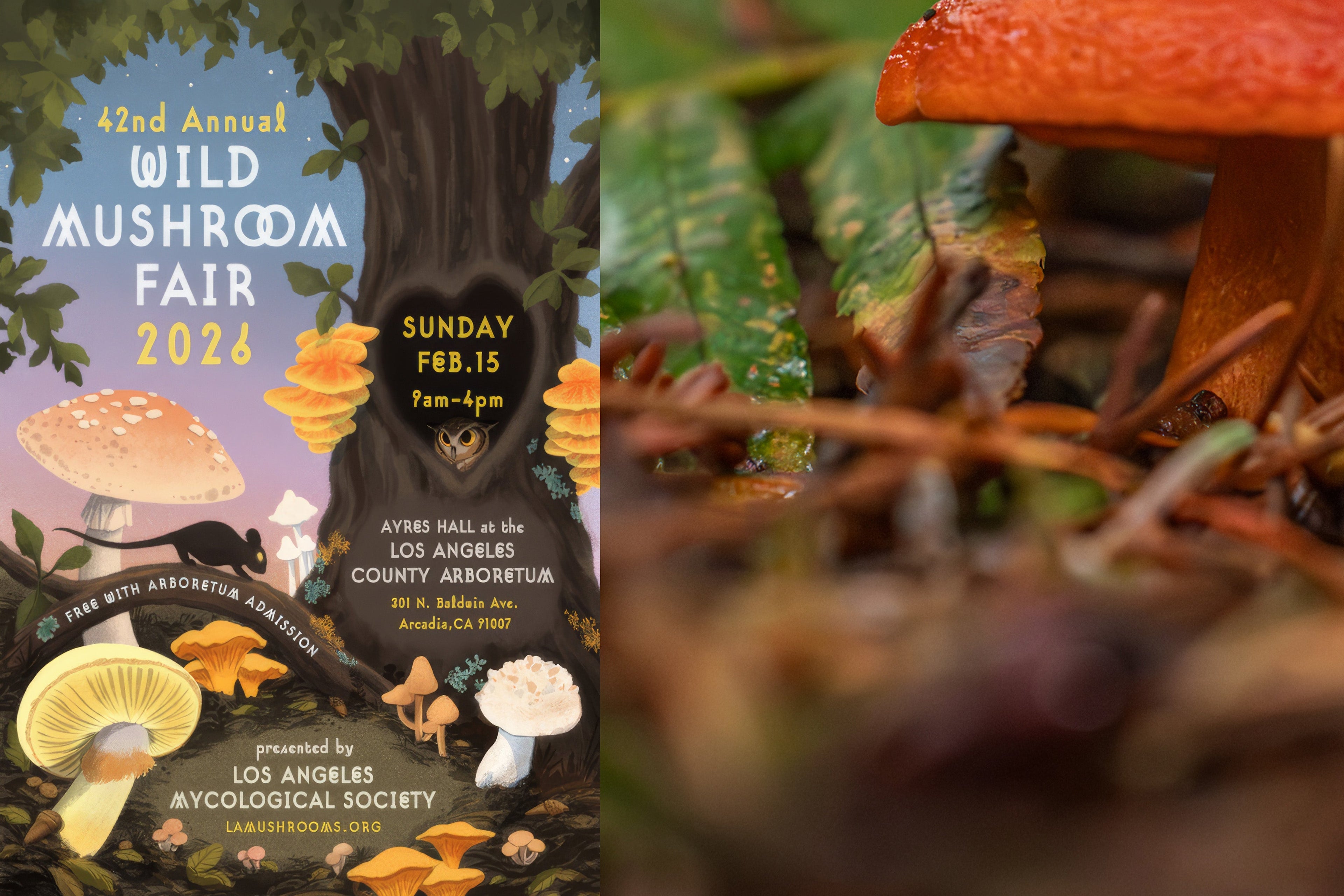 Wild Mushroom Fair 2025 flyer