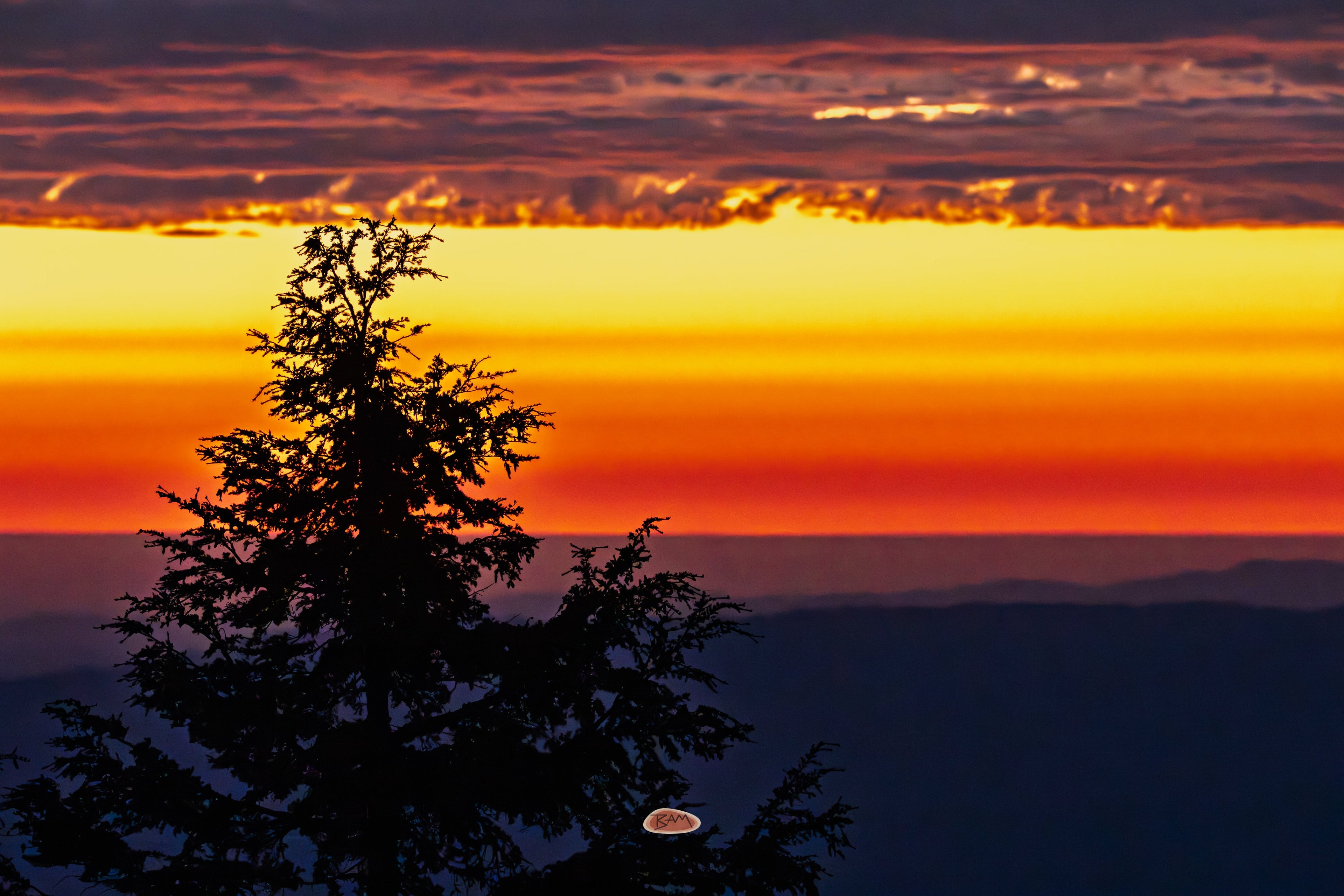 Sunset glowing orange and red behind a silhouetted conifer and distant hills
