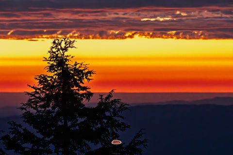 Sunset glowing orange and red behind a silhouetted conifer and distant hills