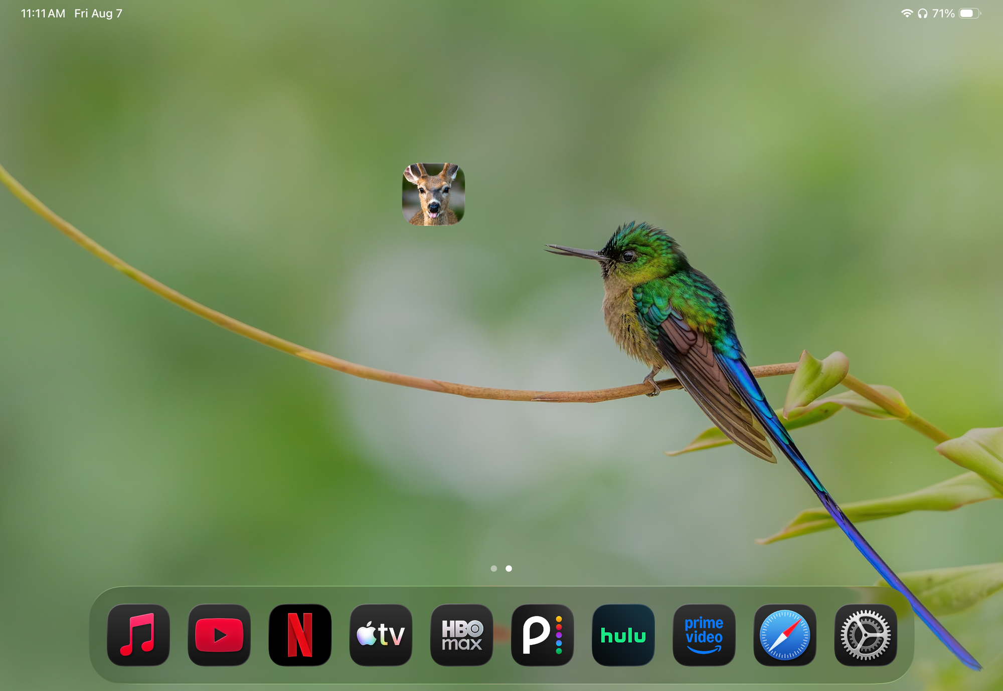 BAM Originals Field Notes on a tablet home screen