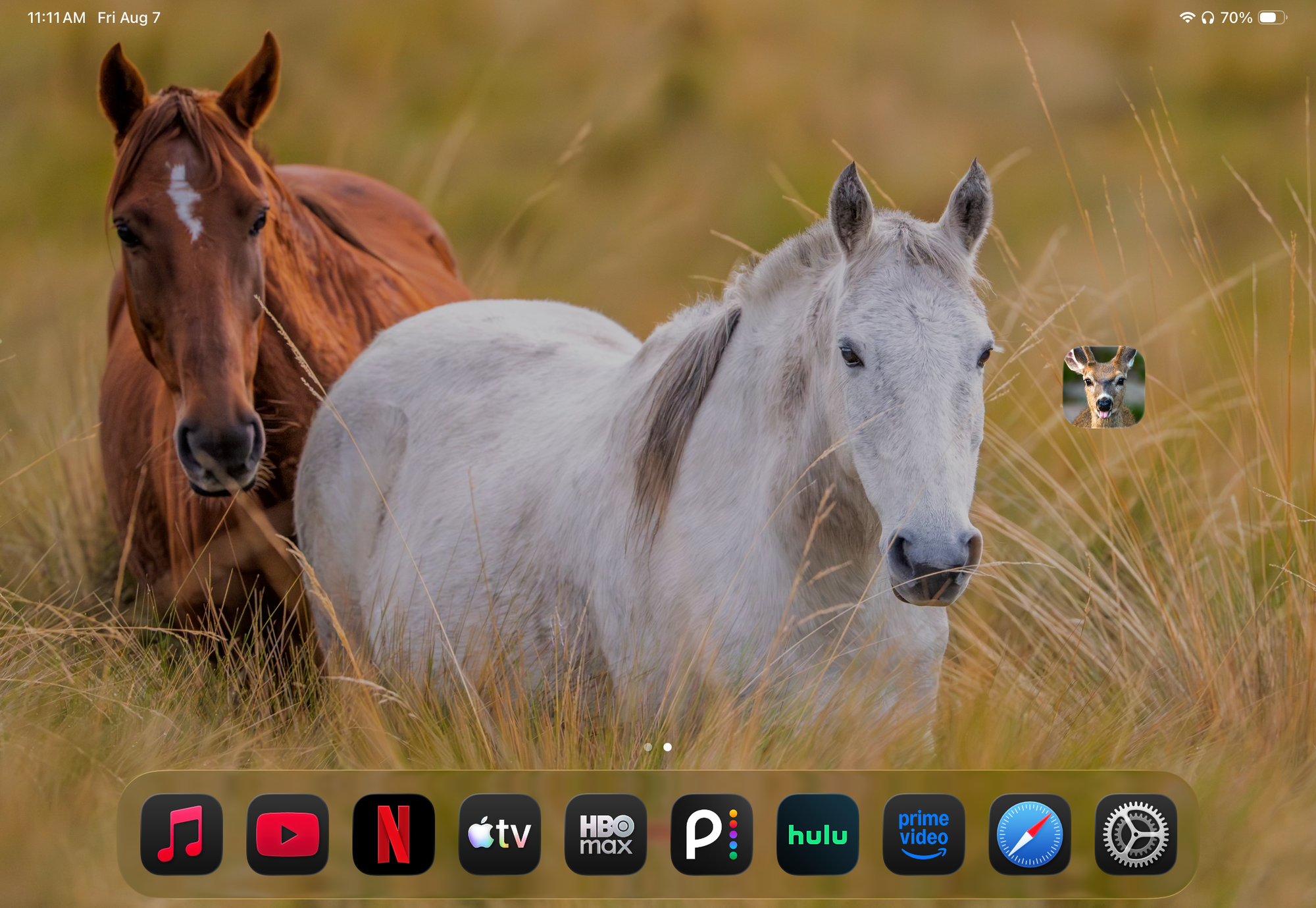 BAM Originals Field Notes on a tablet home screen