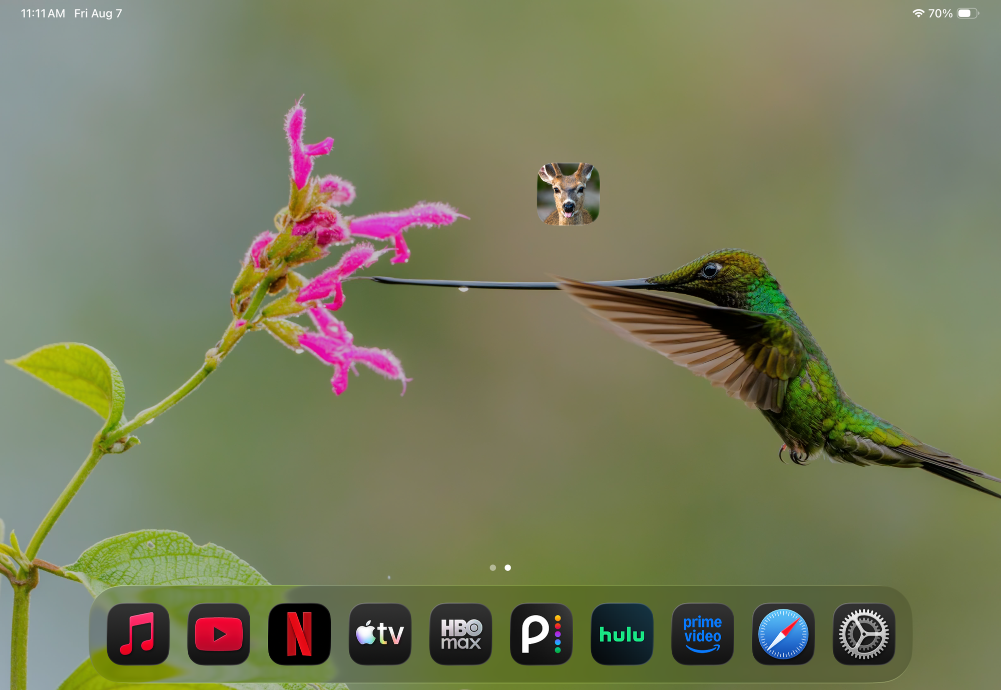 BAM Originals Field Notes on a tablet home screen