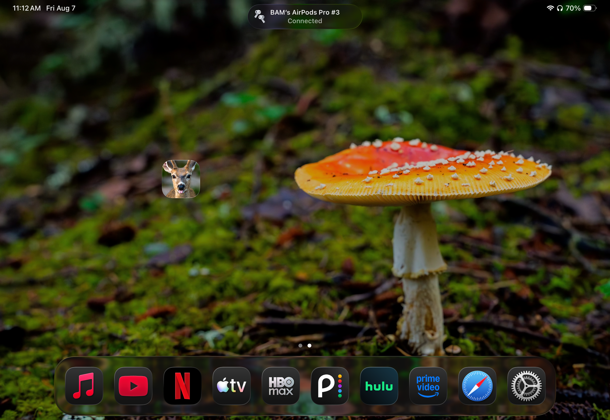 BAM Originals Field Notes on a tablet home screen
