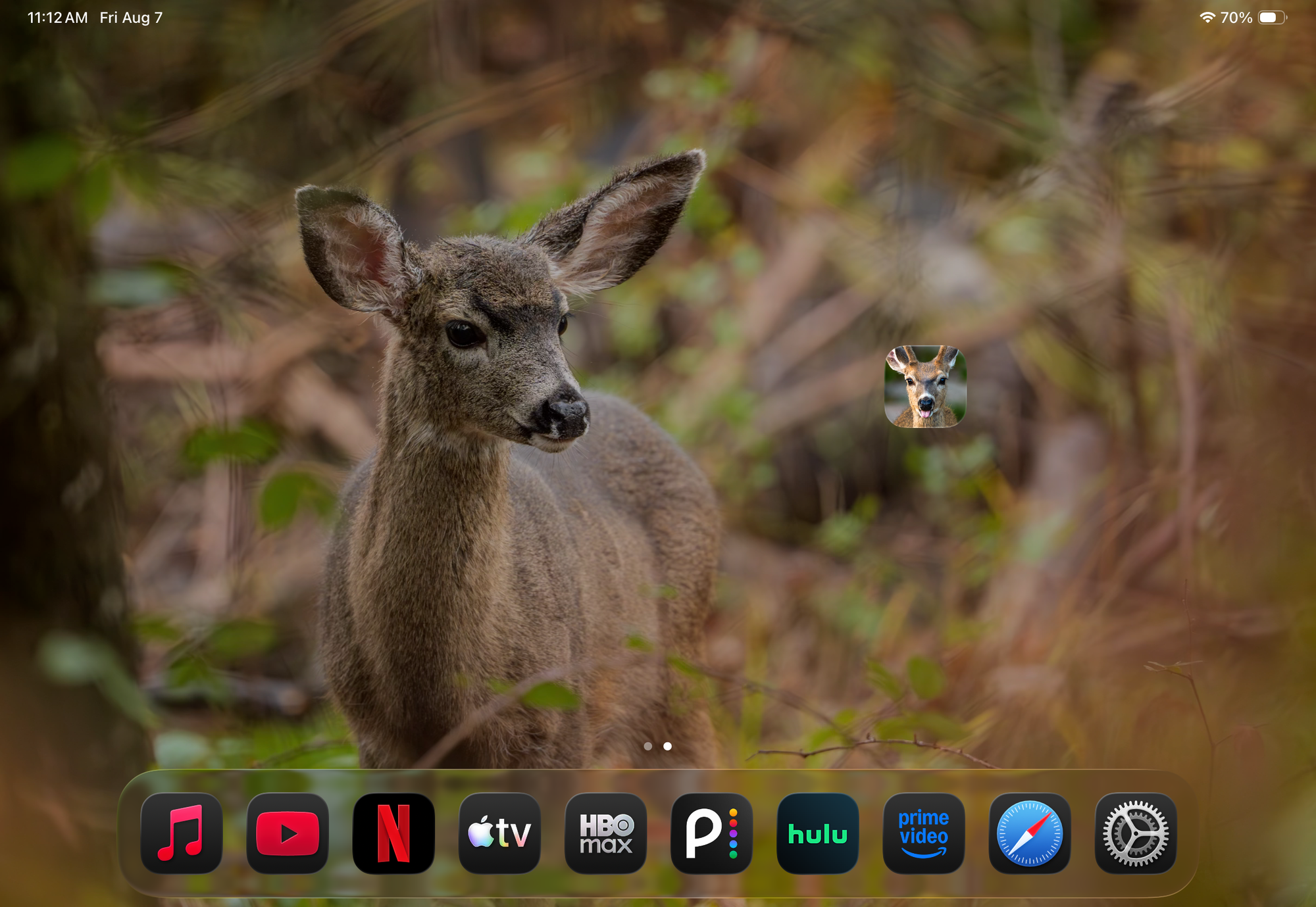 BAM Originals Field Notes on a tablet home screen