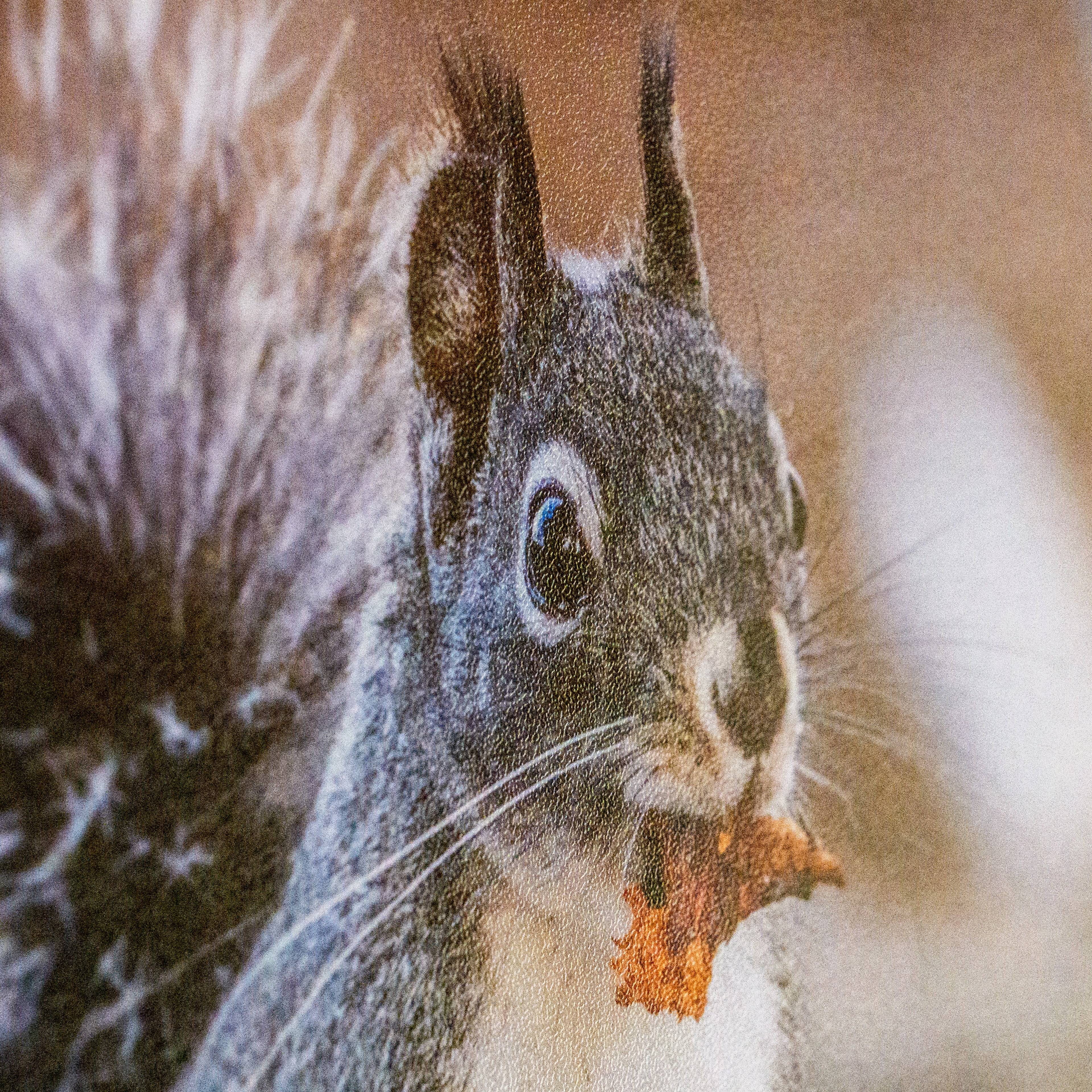 Macro of a Bamboo Print's matte surface, a squirrel rendered in fine detail
