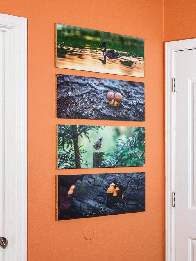 This is a little nook behind his bedroom door that displays Horizontal Medium Prints.