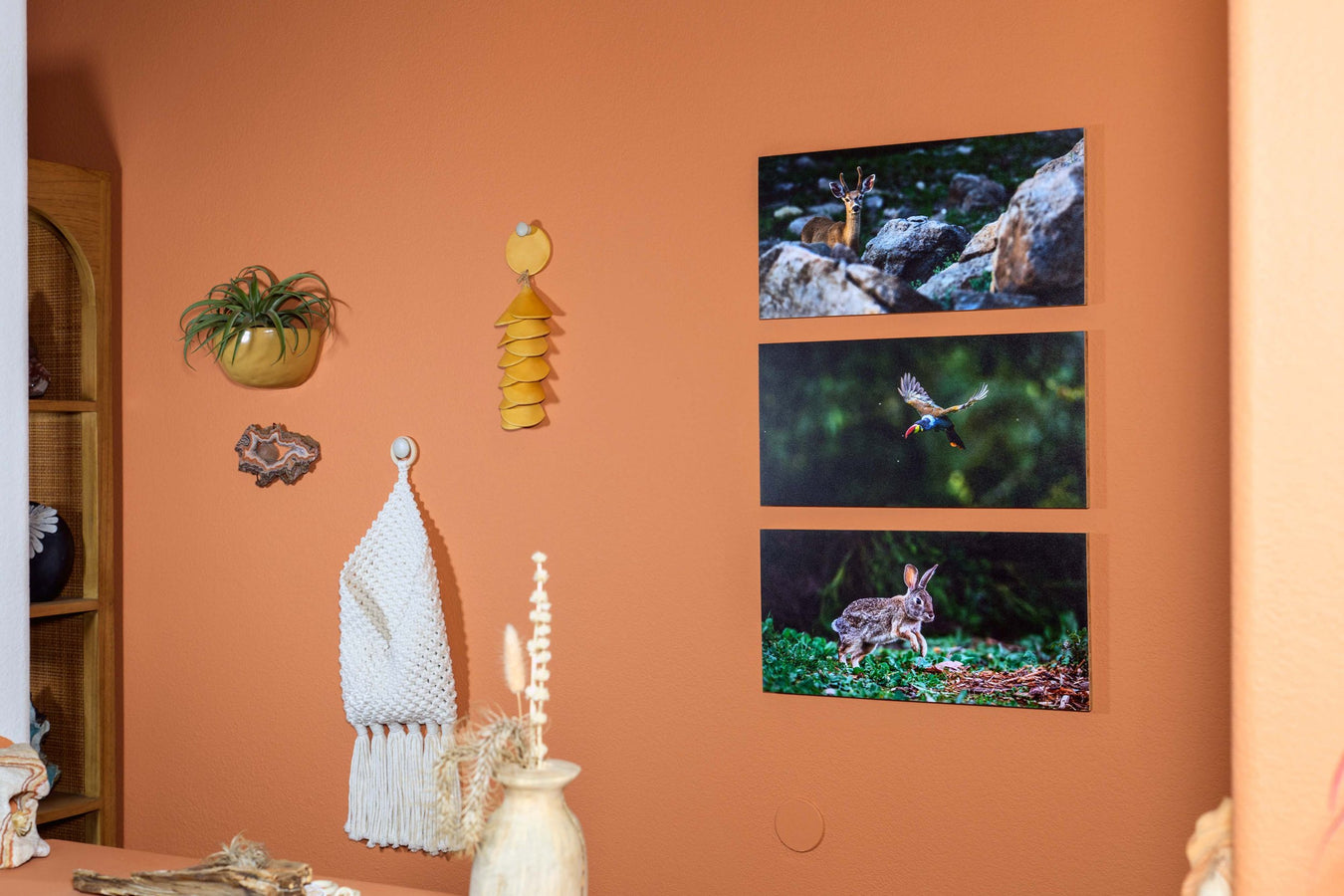 BAM changes them out regularly to display new photographs.