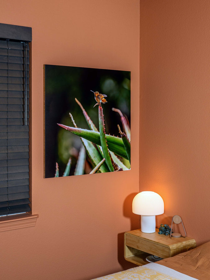 Looks like the guest bedroom is Hummingbird themed. This one is a Square Large.