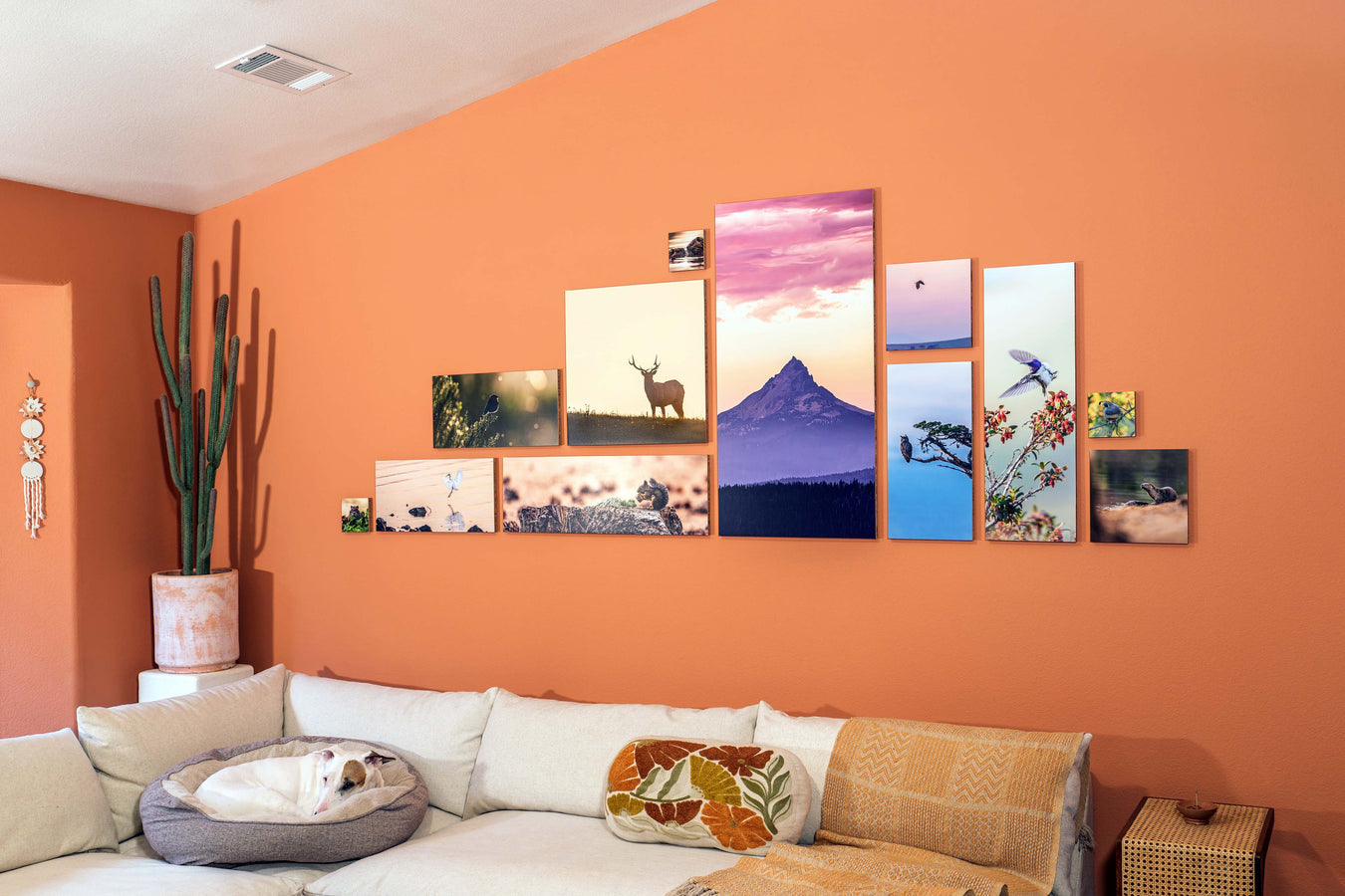 I think I took too many photos in the living room.