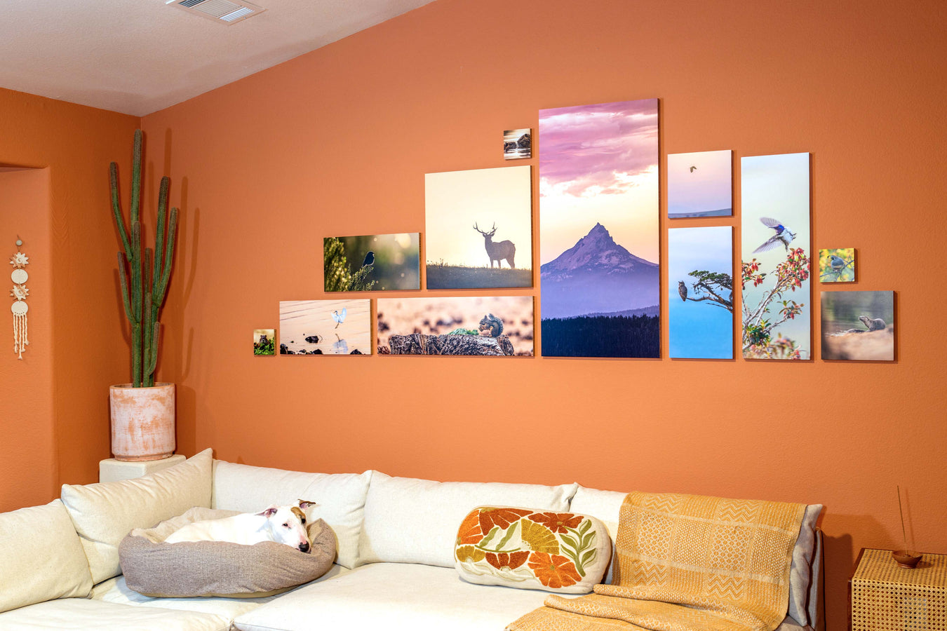 Here are a bunch of photos in the living room.