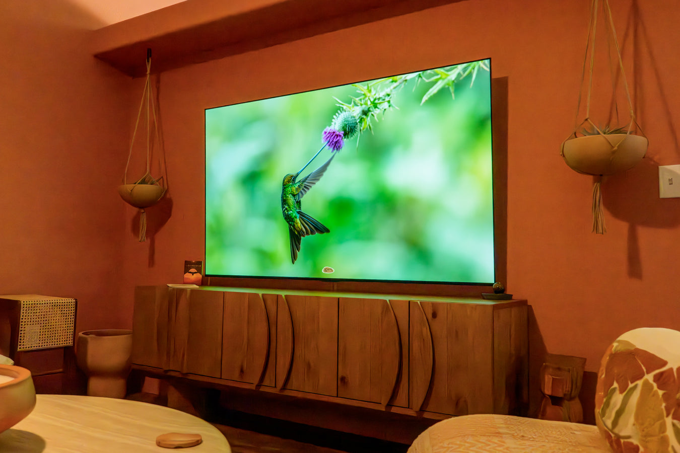 BAM's Photographs look amazing on his TV. You should put your favorites on your TV screen saver!