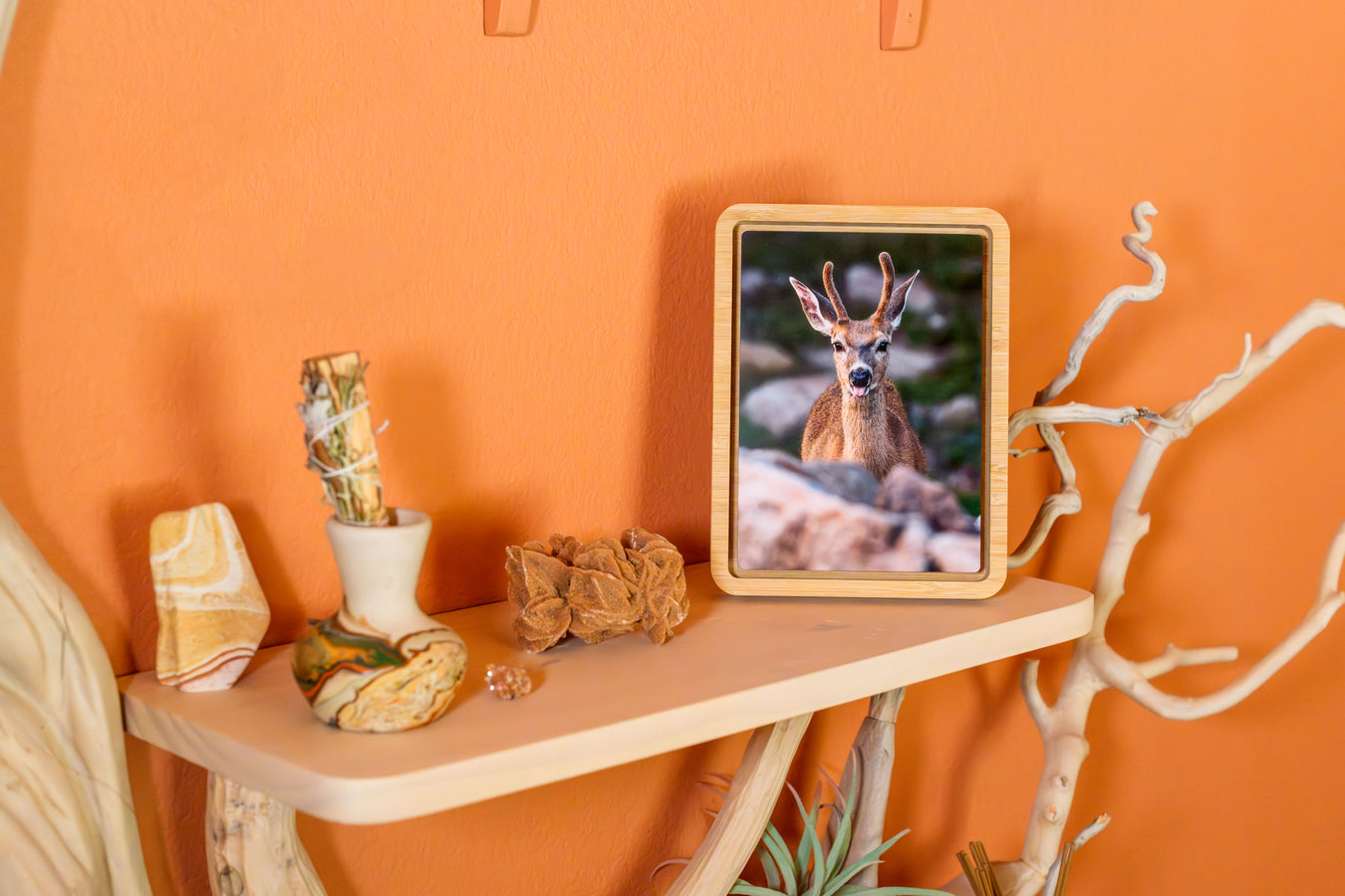 These shelves are also in his bedroom.
