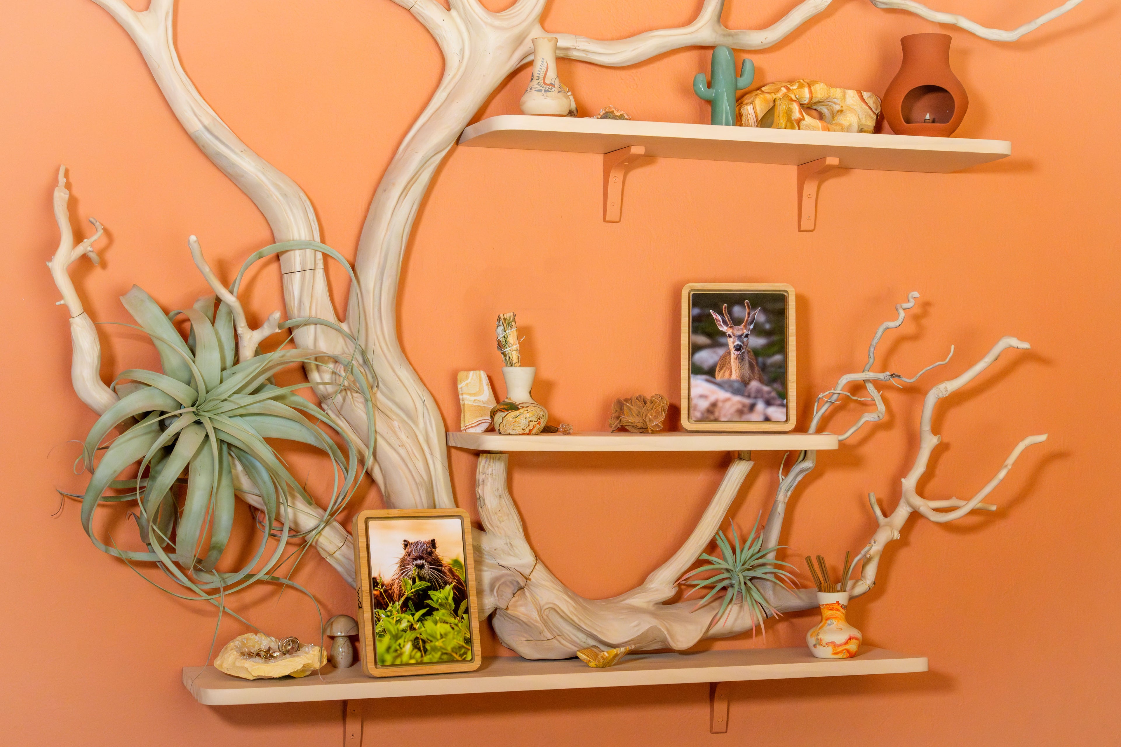 Two framed Wildlife Prints displayed on driftwood floating shelves
