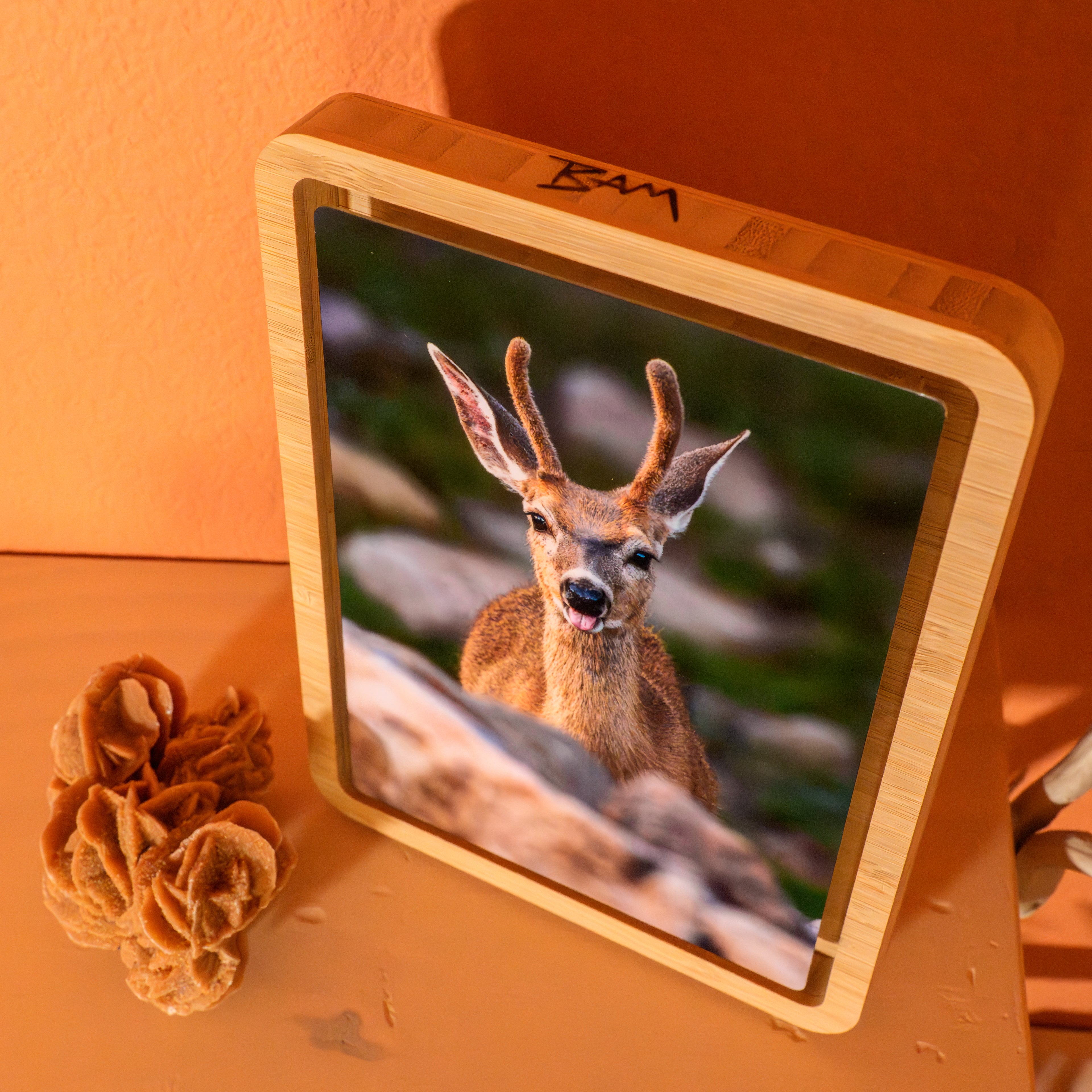 Pack Print in a Pack Print Frame