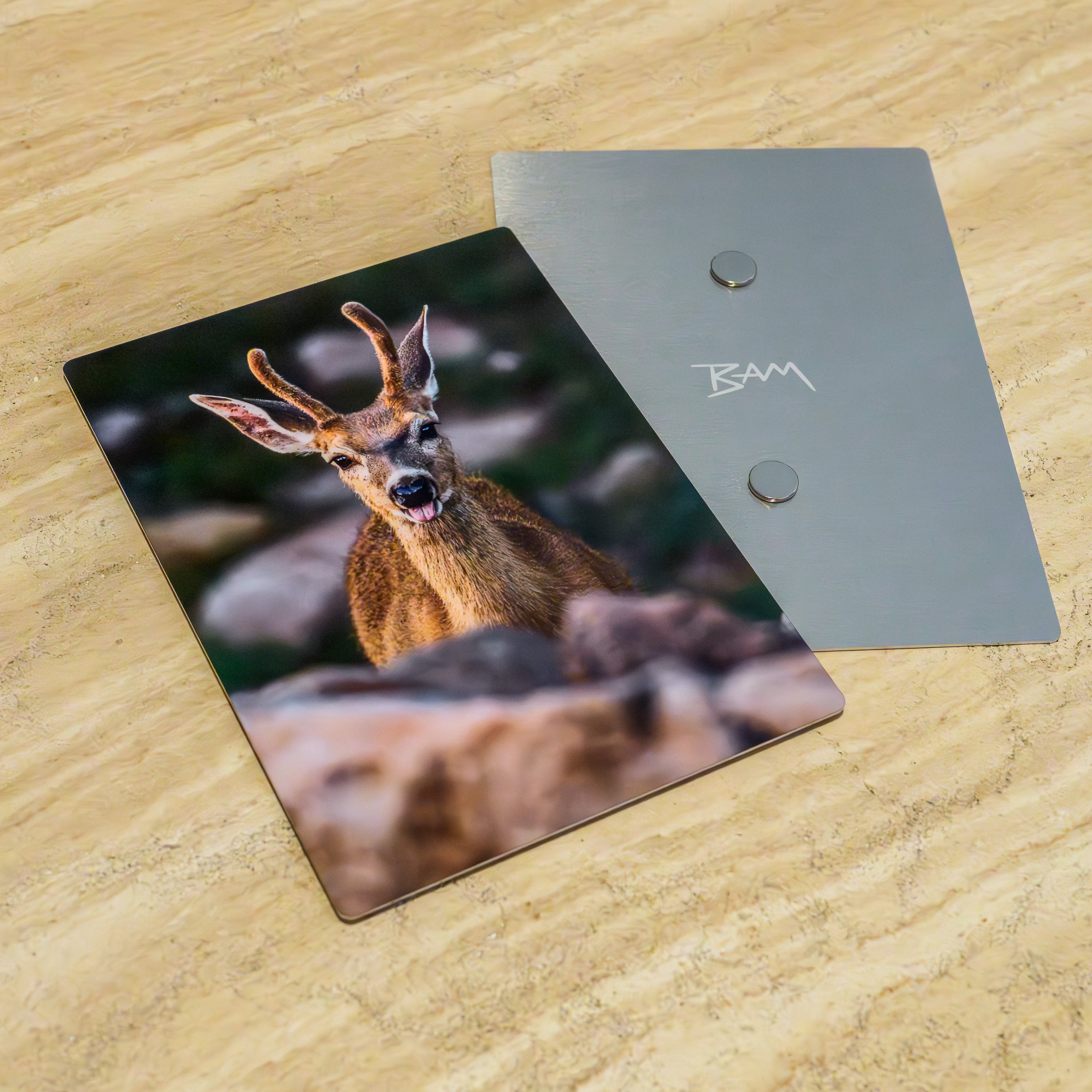 Close up of an aluminum Pack Print featuring BAM's Photograph