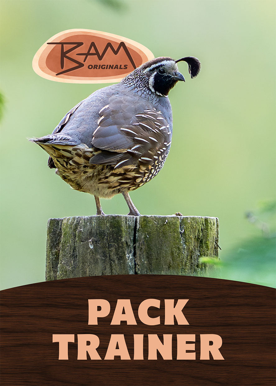 Pack Trainer